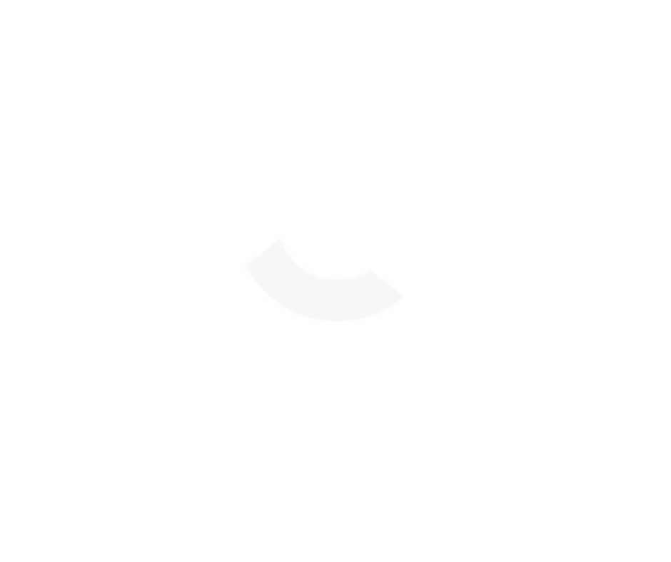 GOOGLE PARTNER